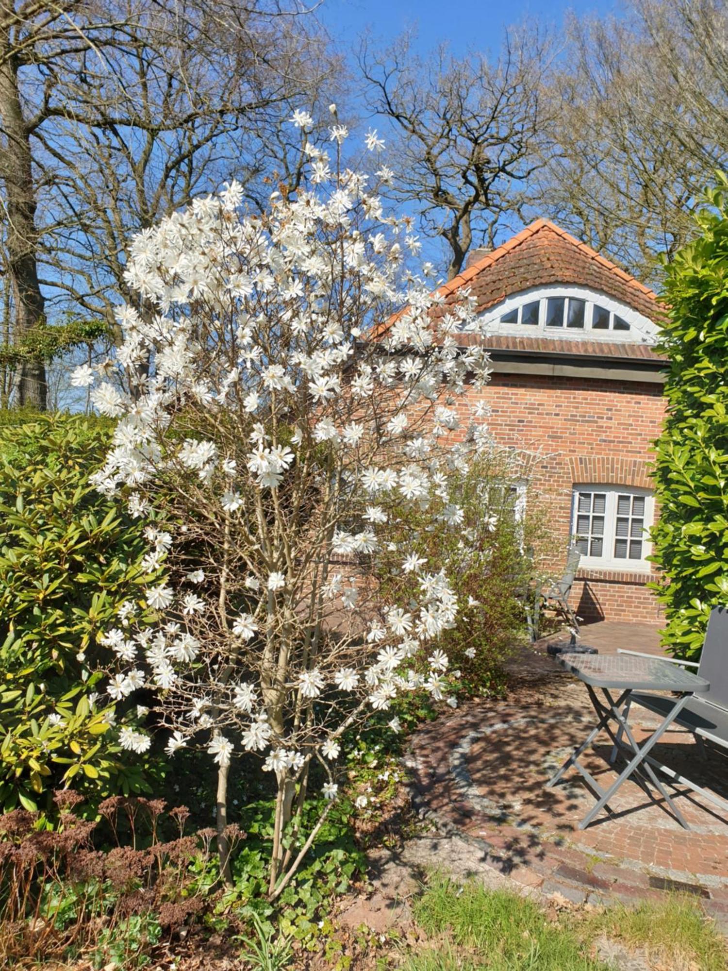 Ferienwohnung Kaminzimmer Westerstede Exterior foto